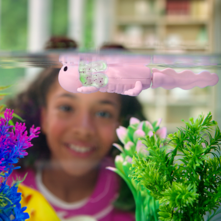 Fingerlings axolotl nadador