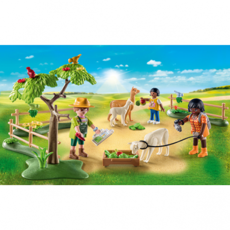 Paseo con alpaca