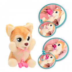 Baby paws yummy shiba inu