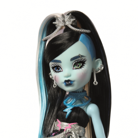 Monster high cumpleaños frankie sweet 1600