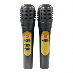 Karaoke light party duo golden edition