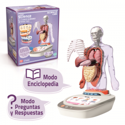 Cuerpo humano: vozpedia...