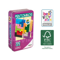 Pentominos metal box