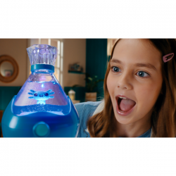 Fizzy pets