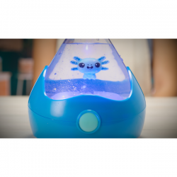 Fizzy pets