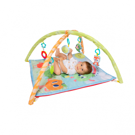 Molto activity gym 3 en 1
