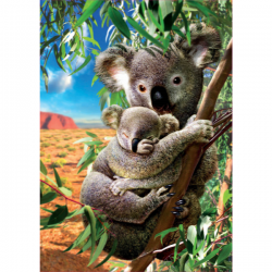 Puzzle 500 piezas koala con su cachorro