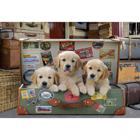 Puzzle 500 piezas cachorros en el equipaje